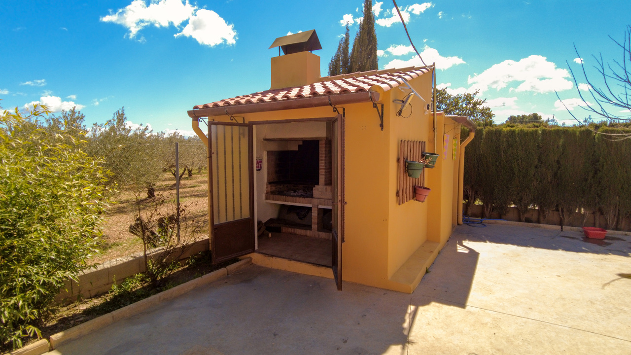 Olive Grove Estates Spanish Property Agency Caudete Alicante Best (42)