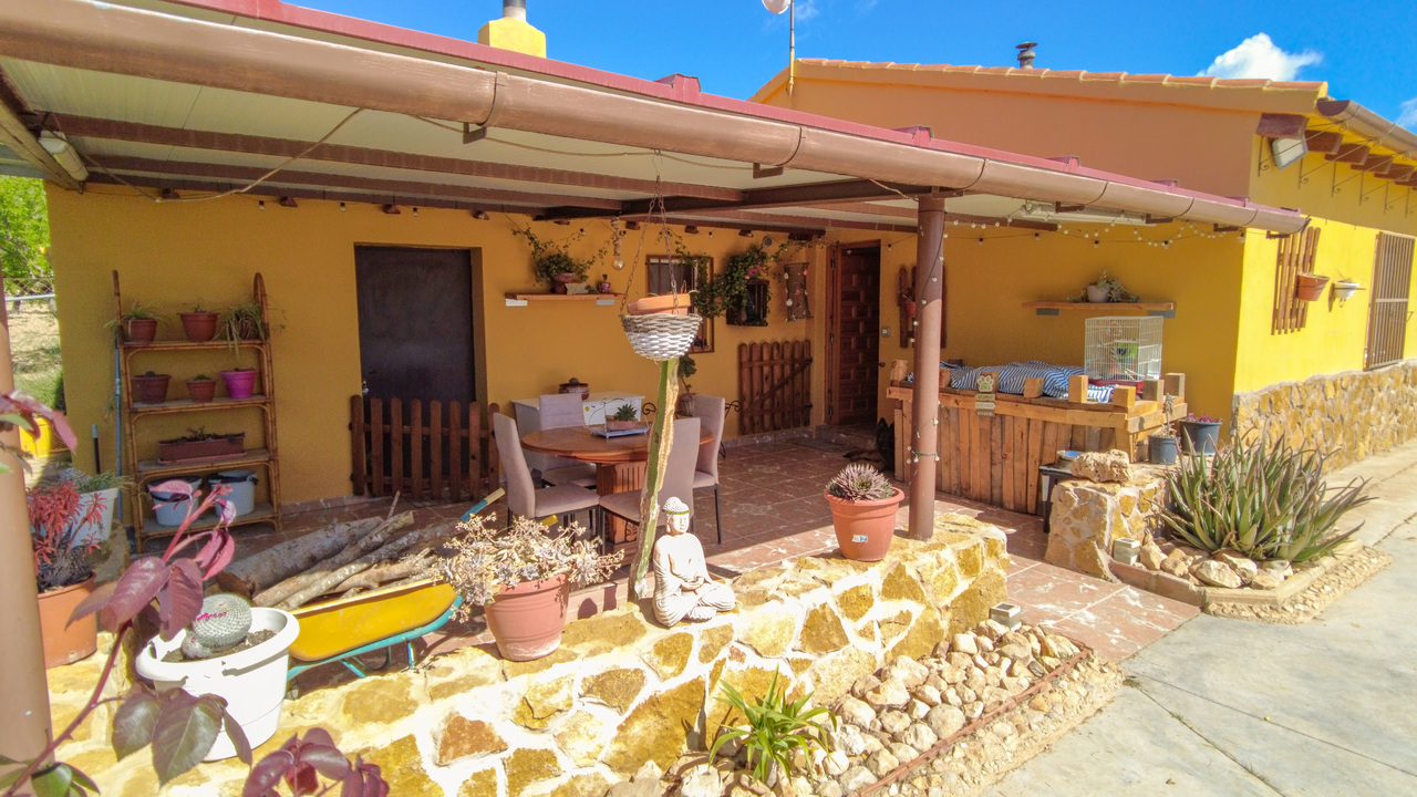 Olive Grove Estates Spanish Property Agency Caudete Alicante Best (29)
