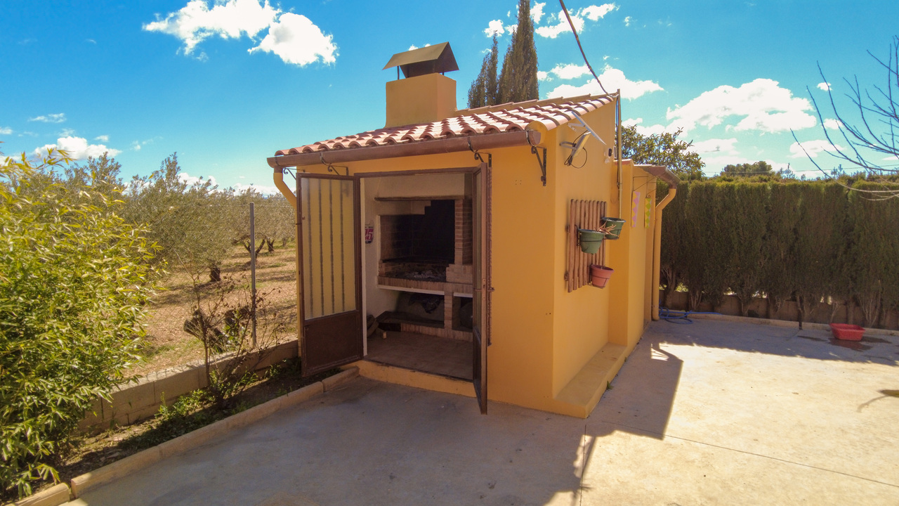 Olive Grove Estates Spanish Property Agency Caudete Alicante Best (42)