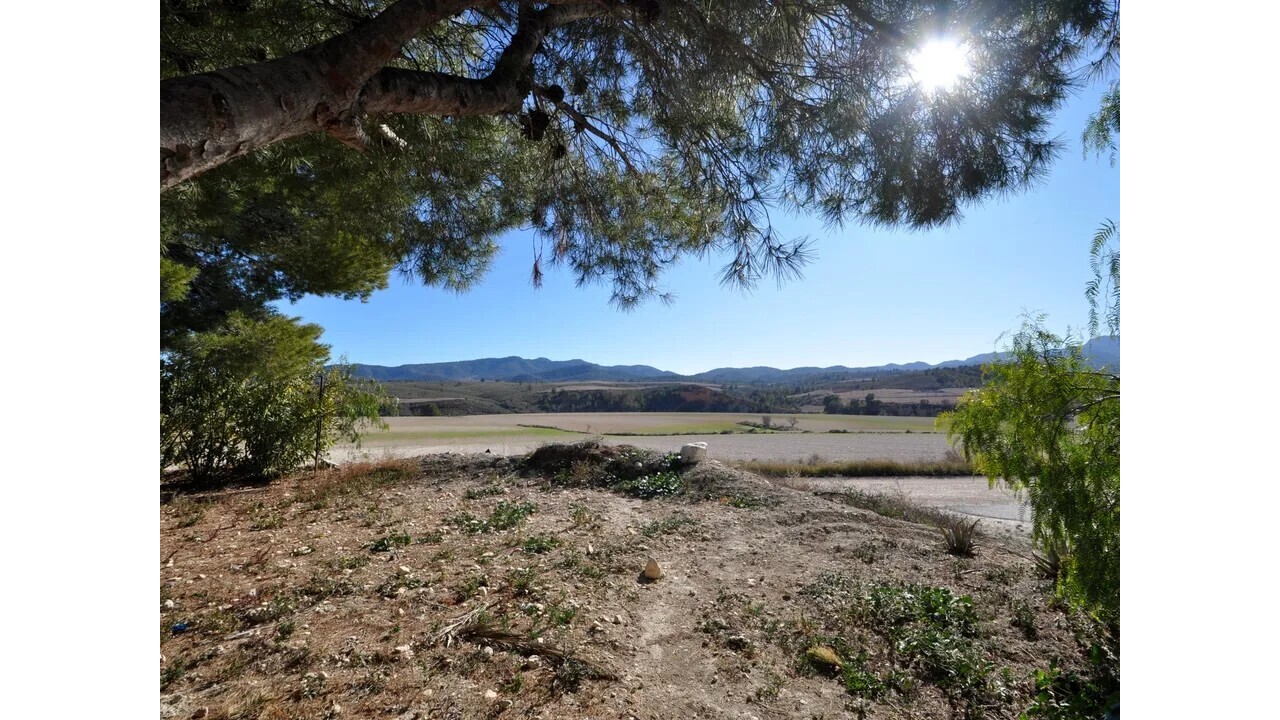 Olive Grove Estates Jumilla Village house for sale holiday home (2).jpeg